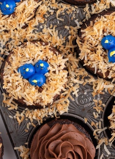 Chocolate cupcakes in a muffin tin, some topped with chocolate frosting swirl and some topped with toasted coconut and blue frosting "birds" to resemble bird nest cupcakes.