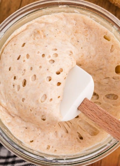 sourdough starter in a bowl