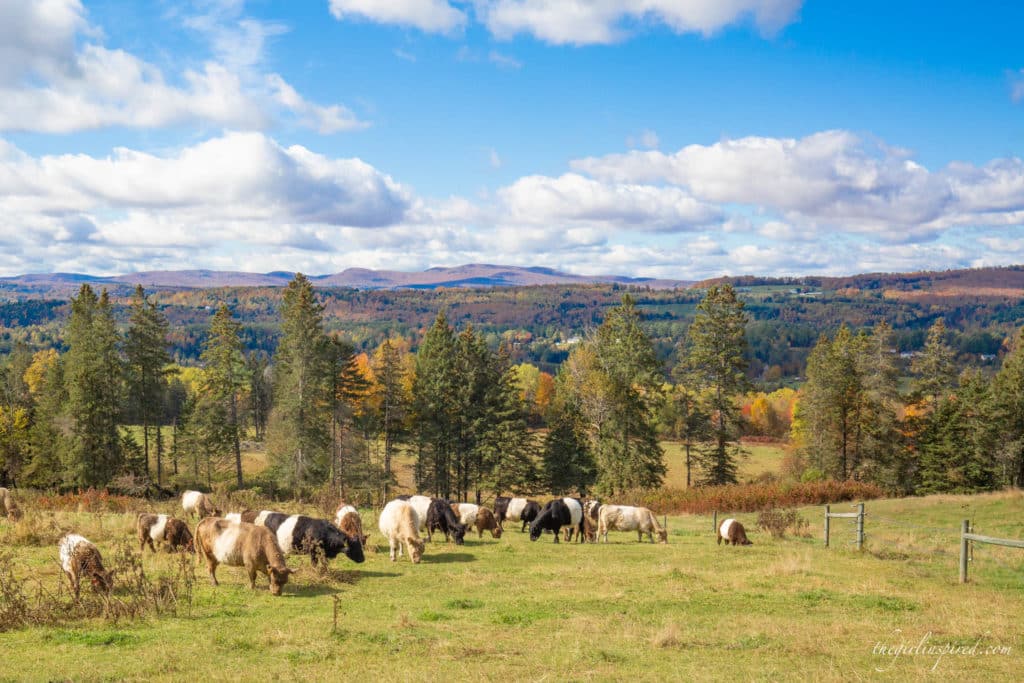 The Wildflower Inn Vermont
